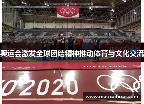 奥运会激发全球团结精神推动体育与文化交流 奥运会激发全球团结精神推动体育与文化交流