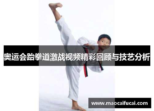 奥运会跆拳道激战视频精彩回顾与技艺分析 奥运会跆拳道激战视频精彩回顾与技艺分析